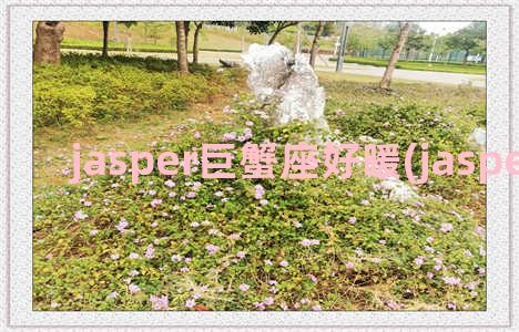 jasper巨蟹座好暖(jasper巨蟹座)