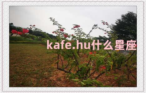 kafe.hu什么星座