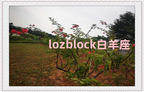 lozblock白羊座