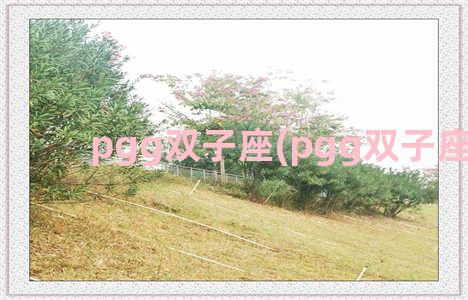 pgg双子座(pgg双子座组合)