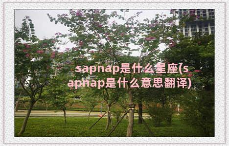 sapnap是什么星座(sapnap是什么意思翻译)