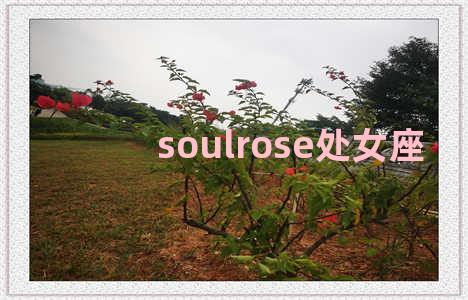 soulrose处女座