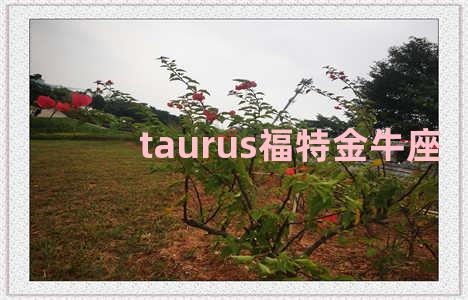 taurus福特金牛座