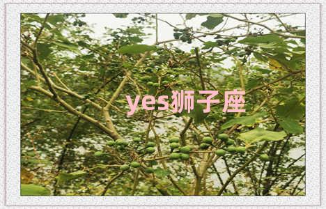 yes狮子座