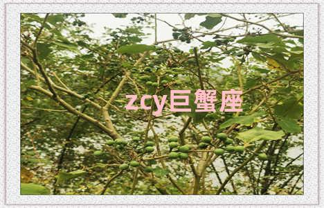 zcy巨蟹座