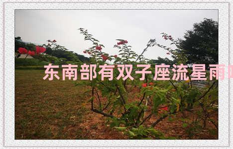 东南部有双子座流星雨吗