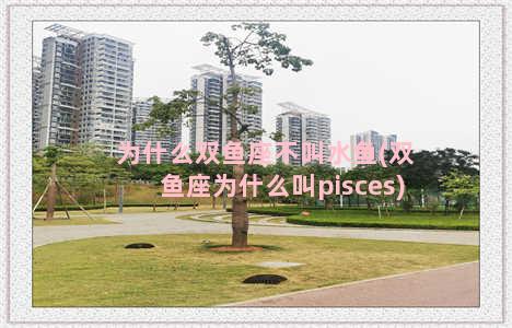 为什么双鱼座不叫水鱼(双鱼座为什么叫pisces)