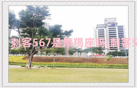 刺客567是摩羯座吗(刺客567第四季)