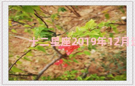 十二星座2019年12月运势