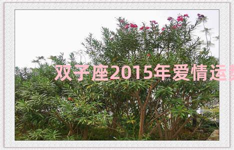 双子座2015年爱情运势