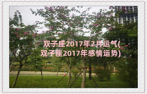 双子座2017年7月运气(双子座2017年感情运势)