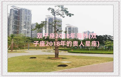 双子座2018年海外(双子座2018年的贵人星座)