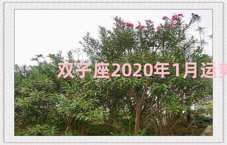 双子座2020年1月运势