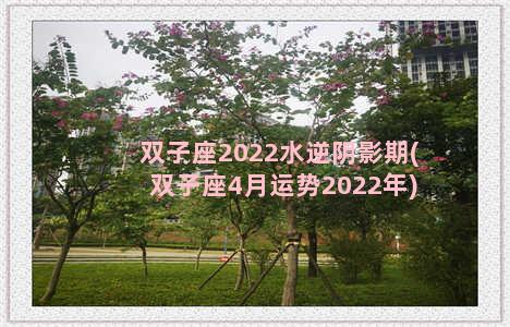 双子座2022水逆阴影期(双子座4月运势2022年)