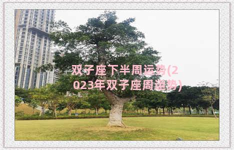 双子座下半周运势(2023年双子座周运势)