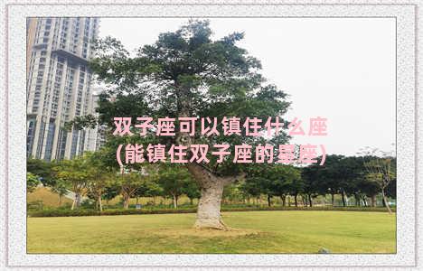 双子座可以镇住什么座(能镇住双子座的星座)