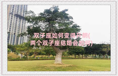 双子座如何变得开朗(两个双子座结婚会如何)