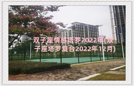 双子座情感塔罗2022年(双子座塔罗复合2022年12月)