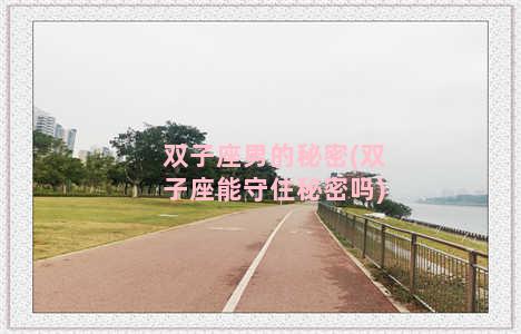 双子座男的秘密(双子座能守住秘密吗)