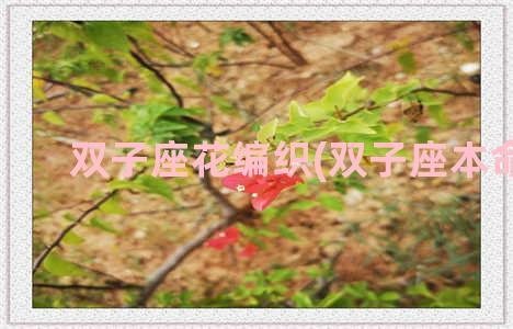 双子座花编织(双子座本命花)