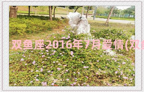 双鱼座2016年7月爱情(双鱼座2022年)