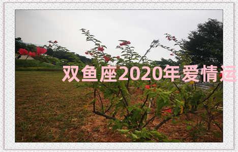 双鱼座2020年爱情运