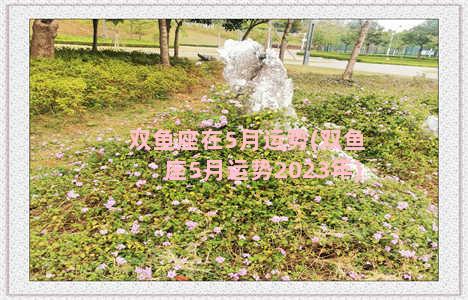 双鱼座在5月运势(双鱼座5月运势2023年)