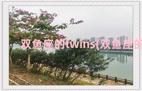 双鱼座的twins(双鱼座的性格)