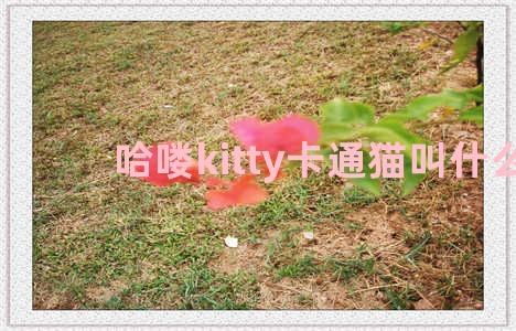 哈喽kitty卡通猫叫什么