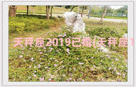 天秤座2019已婚(天秤座11运势2019)