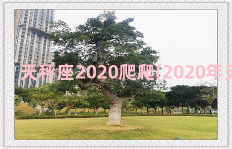 天秤座2020爬爬(2020年天秤座男生)