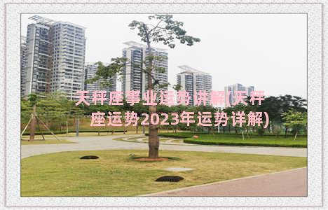 天秤座事业运势讲解(天秤座运势2023年运势详解)