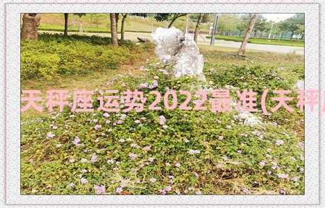 天秤座运势2022最准(天秤座运势2022)