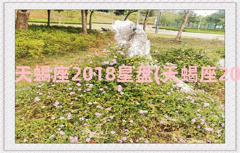 天蝎座2018星盘(天蝎座2018年桃花运)