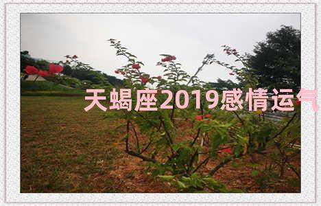 天蝎座2019感情运气