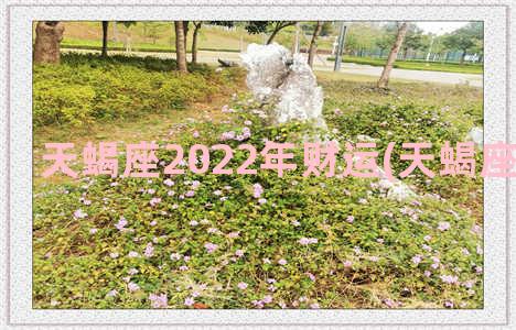 天蝎座2022年财运(天蝎座2022年6月)