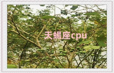 天蝎座cpu