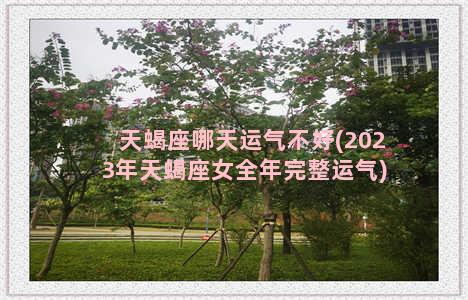 天蝎座哪天运气不好(2023年天蝎座女全年完整运气)