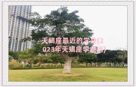 天蝎座最近的学业(2023年天蝎座学业运)