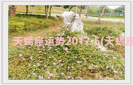 天蝎座运势2017.5(天蝎座运势2023)