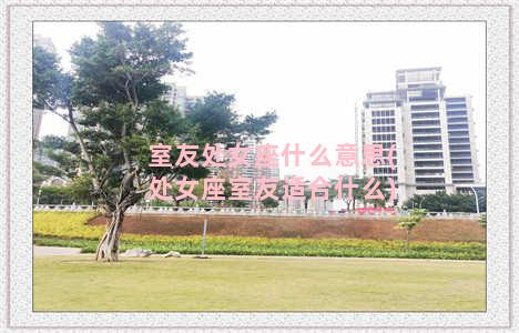 室友处女座什么意思(处女座室友适合什么)