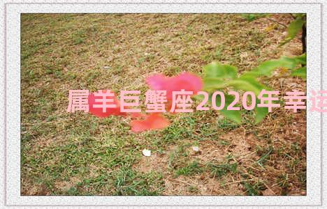 属羊巨蟹座2020年幸运色