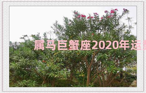 属马巨蟹座2020年运势