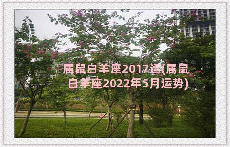 属鼠白羊座2017运(属鼠白羊座2022年5月运势)