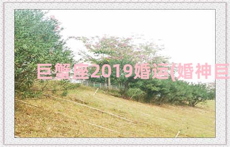 巨蟹座2019婚运(婚神巨蟹座)