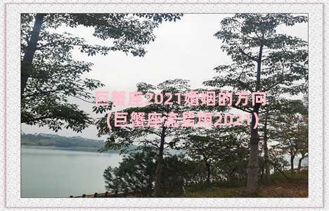 巨蟹座2021婚姻的方向(巨蟹座流星雨2021)