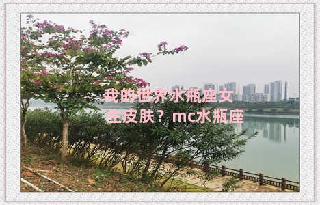 我的世界水瓶座女生皮肤？mc水瓶座