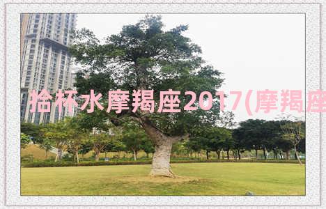 拾杯水摩羯座2017(摩羯座水逆2022)