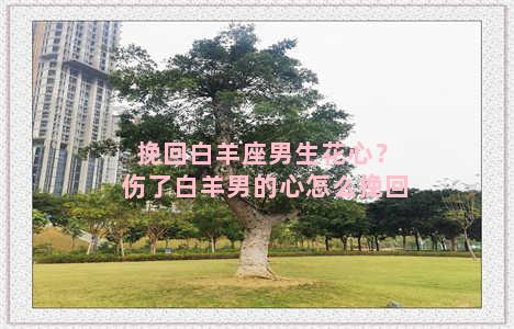 挽回白羊座男生花心？伤了白羊男的心怎么挽回