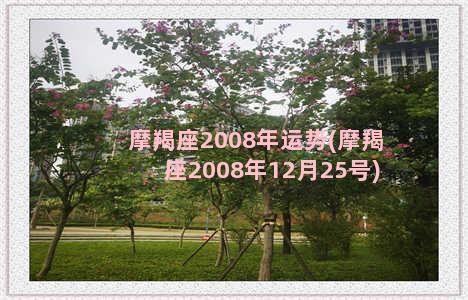 摩羯座2008年运势(摩羯座2008年12月25号)